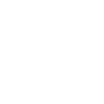 icon1