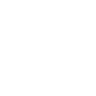 icon1
