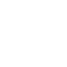 icon1