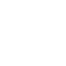 icon1